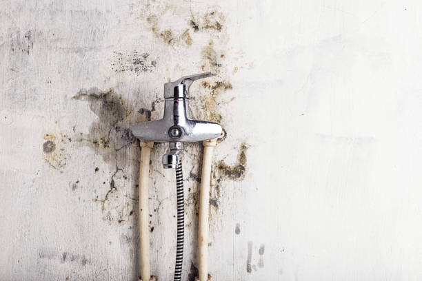 Best Water Damage Restoration  in Madison, WI