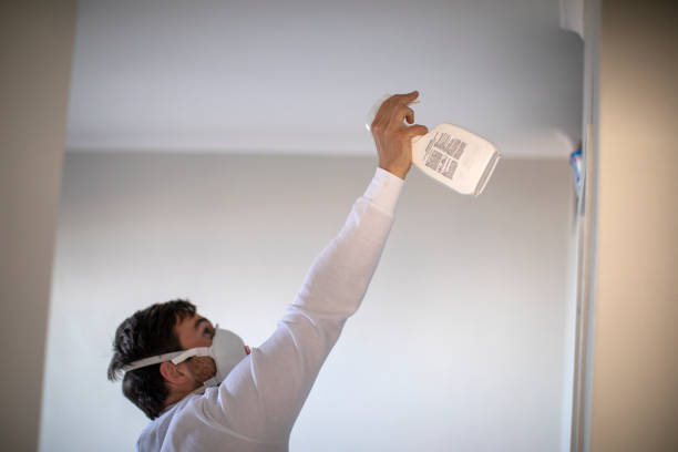 Best Toxic Mold Removal  in Madison, WI