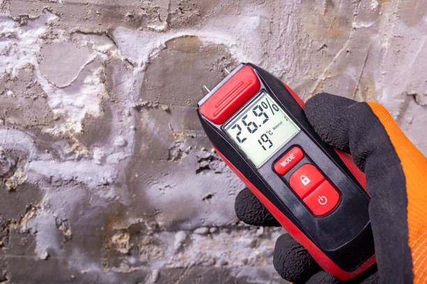 Best Home Mold Removal  in Madison, WI