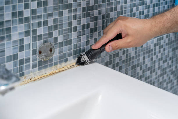 Best Same-Day Mold Removal  in Madison, WI